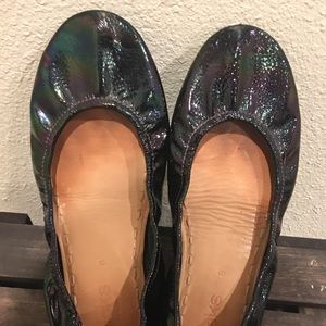 Arabian nights #1 Need TLC